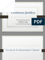 Ponto 01 - Fenômeno Jurídico Versão PDF