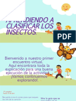 Cartilla de Los Insectos Con Link