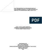 Programa de Prevención de Los Desórdenes Músculo Esqueléticos Del Miembro Superior y Columna Vert