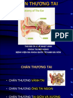 CHẤN THƯƠNG TAI