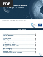 Audiovisual Media Services in Europe - 2022 Edition - A. Schneeberger