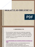 Moleculas Organicas Carb Lip Prot