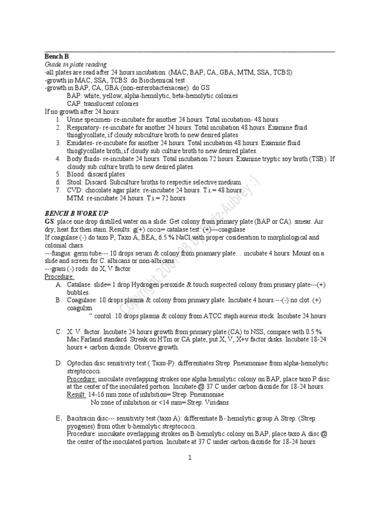 Microbial Identification Procedures | PDF | Streptococcus | Prokaryote