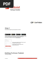 18-08-Todoist Setup Guide