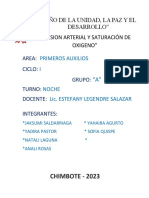 Informe Primeros Auxilios