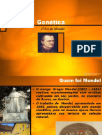 1º Lei de Mendel