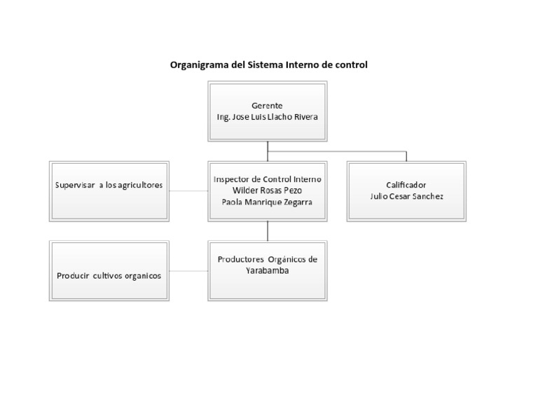 Organigrama Del Sistema Interno de Control | PDF