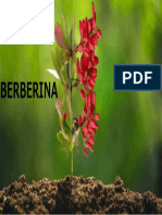 BERBERINA