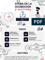 Sistema de Locomoción Generalidade de La Anatomía Humana