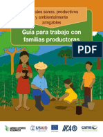 Guia BPA Familias CATIE-PROCAGICA-IICA - Final Digital