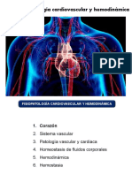 Anatomía Corazón