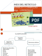 Funciones Re. Golgi, Lisosomas, Peroxisomas, Clase Seis