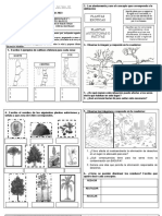 3º Básico Guía Nº5 Ciencias Naturales