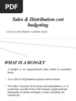 S&D Cost Budgeting Birva