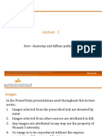 Lecture 1 Liver Anatomy and Diffuse Pathology