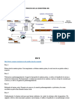 Identificacion IPER