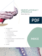 VélezCoto - Neuroplasticidad y Aprendizaje