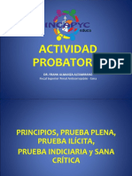 Actividad Probatoria - Principios, Prueba Plena, Prueba Ilícita, Prueba Indiciaria y Sana Critica - Ncpp.
