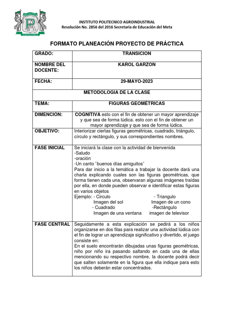 Formato Planeación Proyecto de Práctica Karol | PDF | Aprendizaje ...