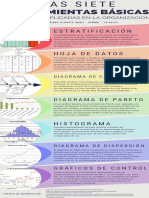 Infografía 13