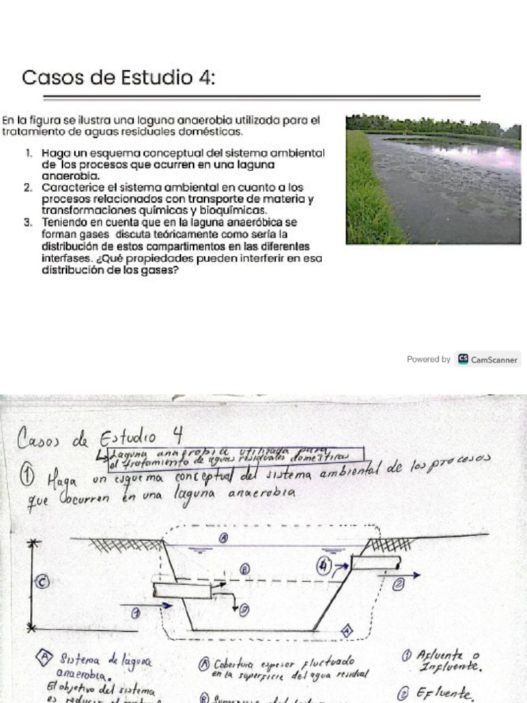 caso de laguna anaerobia2 PDF
