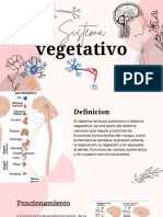 Presentación Sistema Nervioso