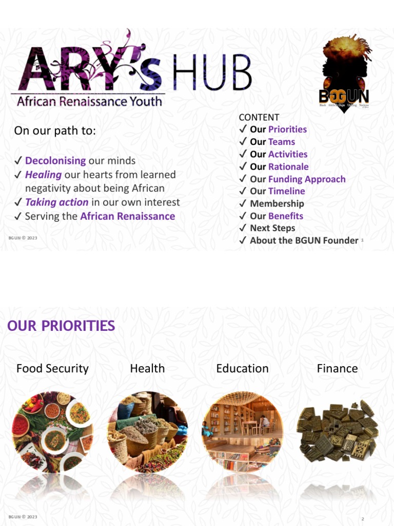 Bguncr Asg Tup Africa Presentation Pdf Subscription Business Model