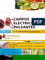 Campos Electricos Pulsantes