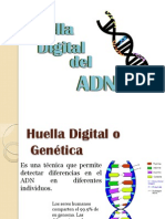 Huella Digital Del ADN