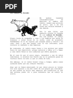 La Leyenda de La Taconuda | PDF