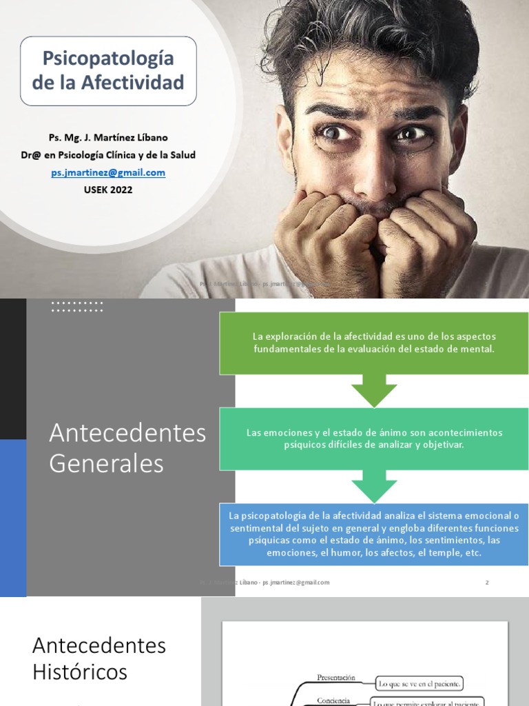Psicopatología de La Afectividad 2022 USEK | PDF | Las emociones | Ansiedad