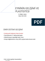 İnsan Beyni̇ni̇n Geli̇şi̇mi̇ Ve Plasti̇si̇tesi̇