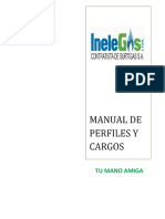 Manual de Perfiles y Cargos - PDF Free Download 14 Junio 2023
