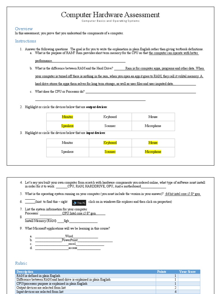 Computer Hardware Basics Assessment | PDF | Input/Output | Central ...