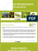 Cultivos Prioritarios en Jalisco