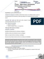 SOCIOLOGÍA 3 Curso DOCENTE Mayo 10 Al 14