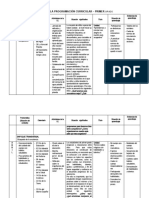 1°-Matriz de Programación