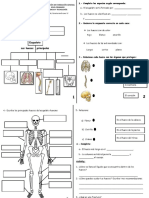 Ficha 1 Ciencia y Tecnología El Sistema Óseo