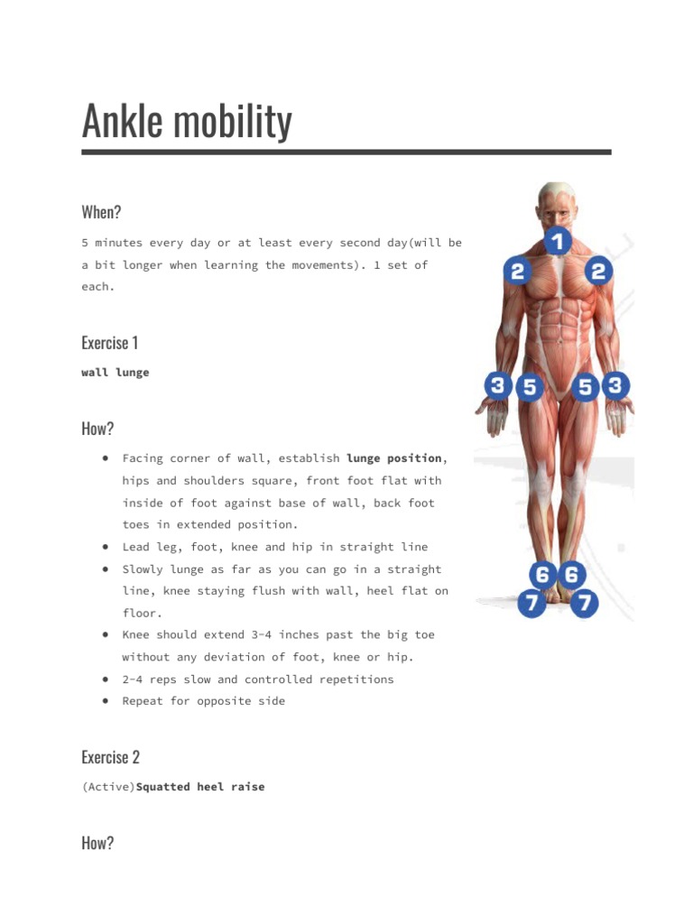 Ankle Mobility Sheet | PDF