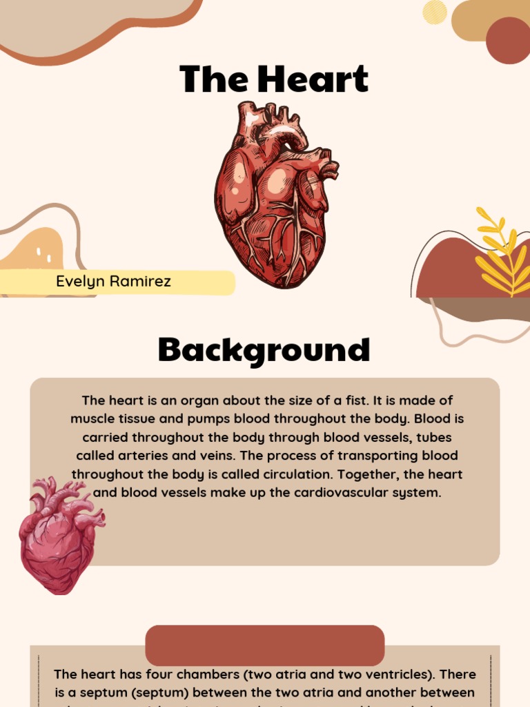 The Heart | PDF