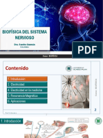 Clase 4 - Biofisica Sistema Nervioso Alumno