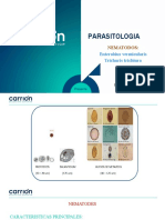 Parasitologia 11va Semana - Nematodes I