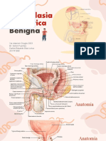Hiperplasia Prostatica: Benigna