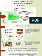 Microbiologia 17