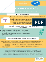 El Ensayo Infografía