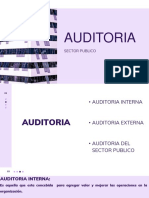 Presentación Auditoria Del Sector Publico (1) - Compressed