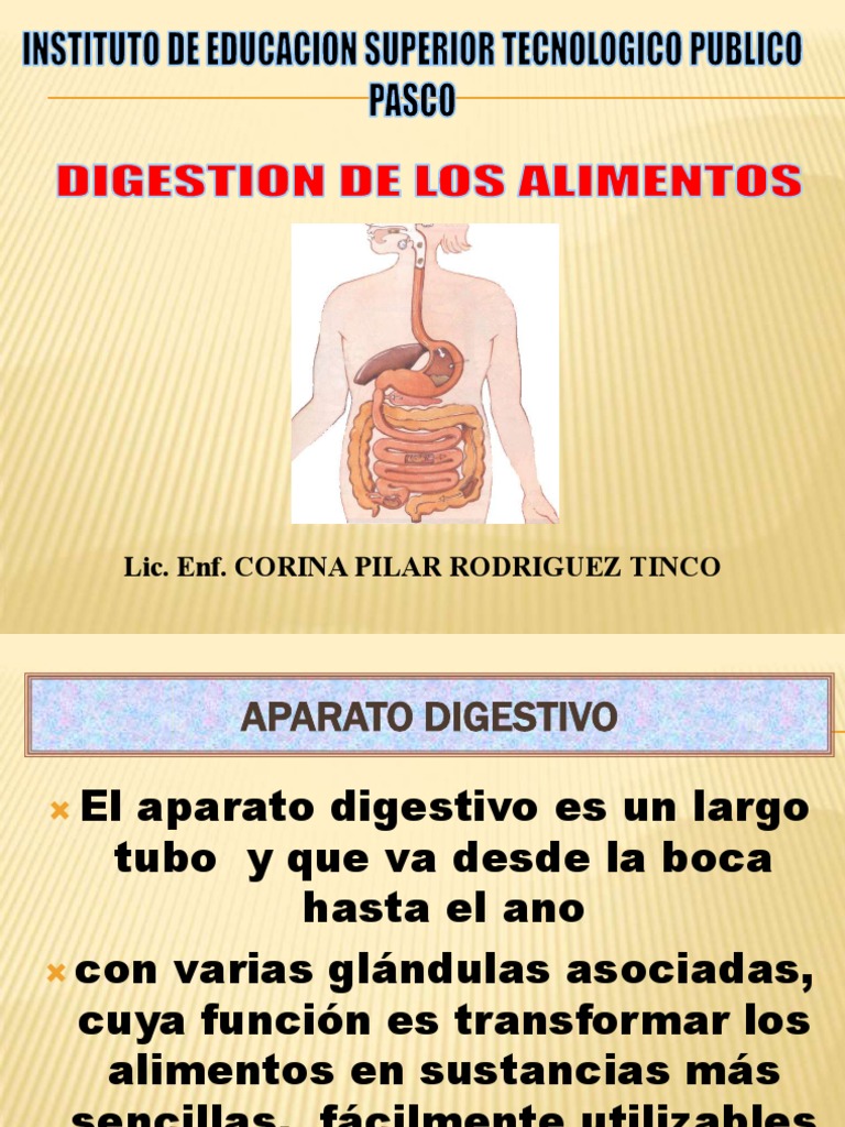 Digestion De Los Alimentos Pdf Sistema Digestivo Humano Digestión
