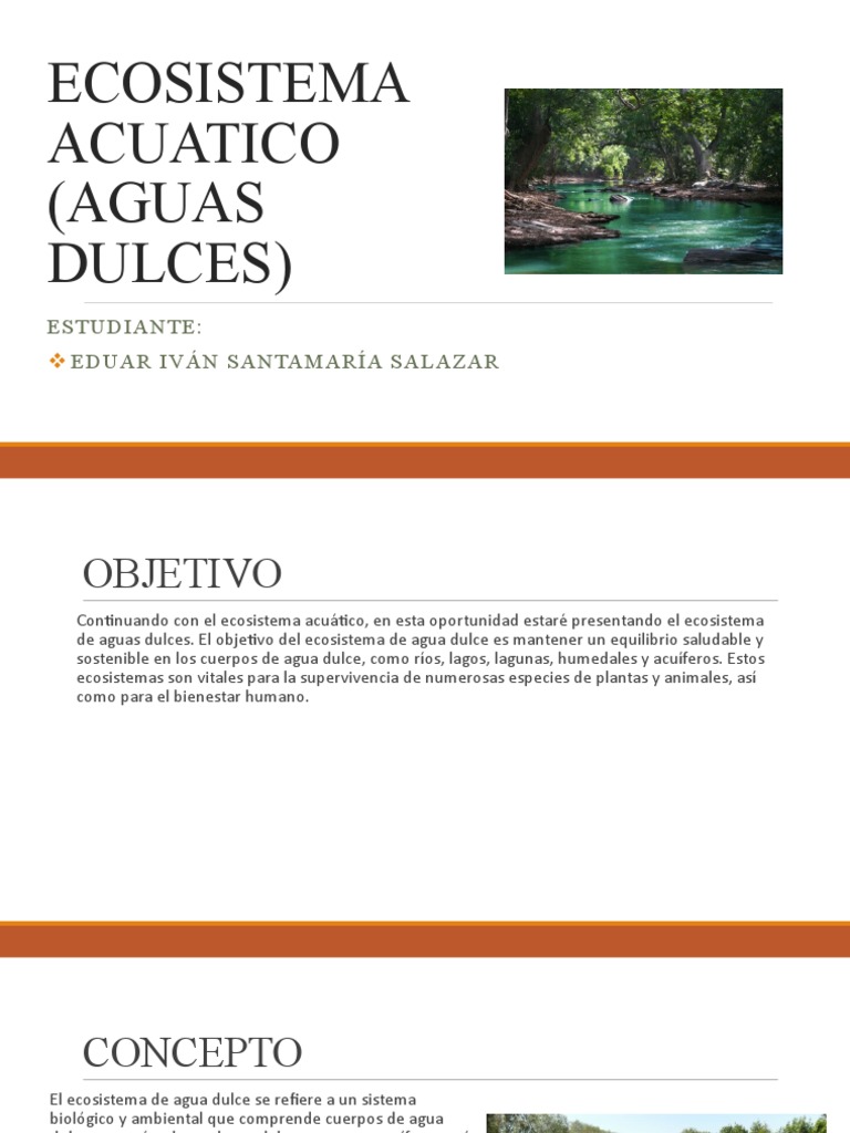 Ecosistema Acuático de Agua Dulce | PDF | Agua | Entorno natural