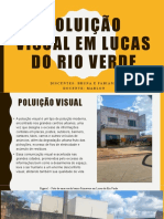 Poluição Visual Na Área Residencial de LRV - Bruna e Fabiane