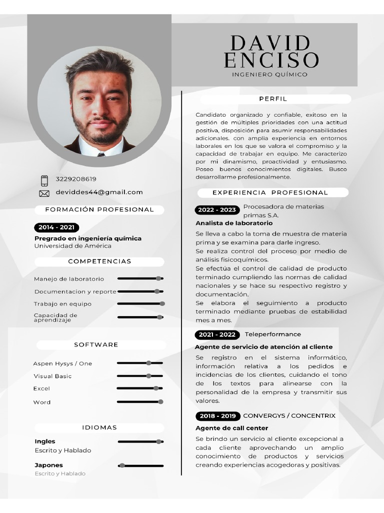 Hoja de Vida David Enciso | PDF